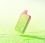 ELF BAR BC10000 DISPOSABLE VAPE 5% - Image 22