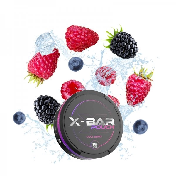 X- Bar Nicotine Pouches 18MG In Dubai - Image 5
