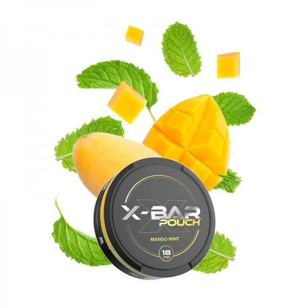 X- Bar Nicotine Pouches 18MG In Dubai - Image 7